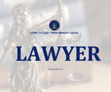 gioi-thieu-cong-ty-luat-bright-legal